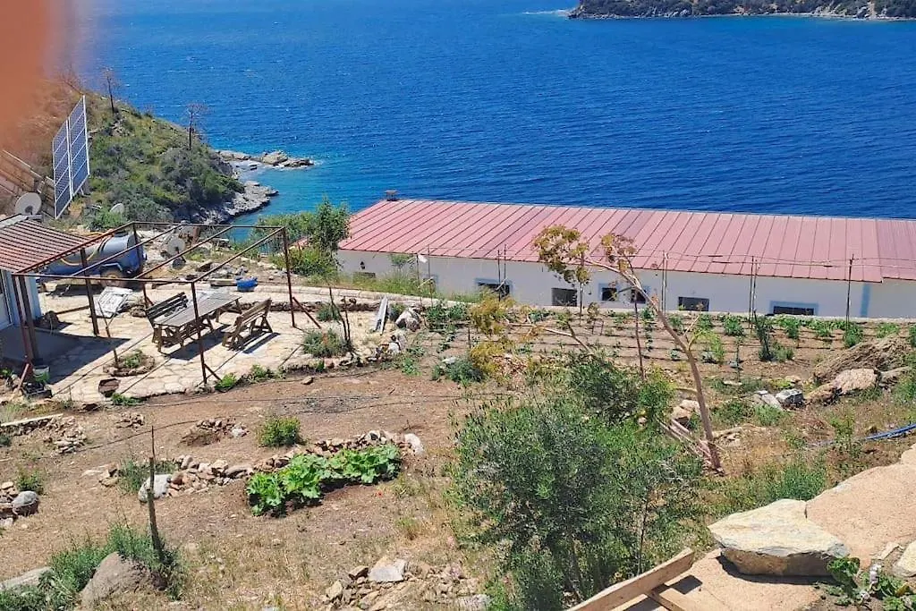 Denize Sifir Mustakil Ev Mazi 172 4 Lägenhet Bodrum